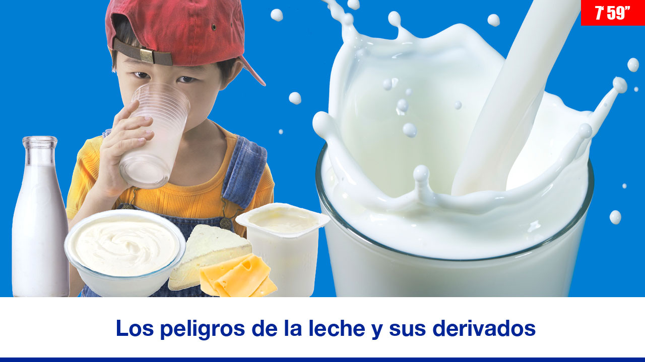 Los peligros de la leche y sus derivados