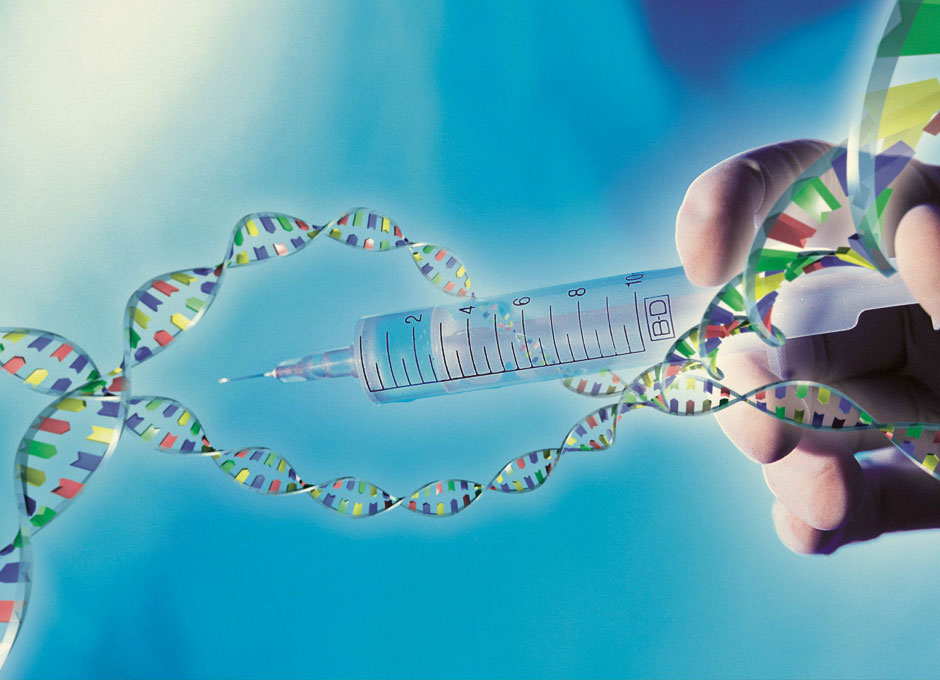 La Ingenieria Genetica No Tiene Base Biologica Dsalud