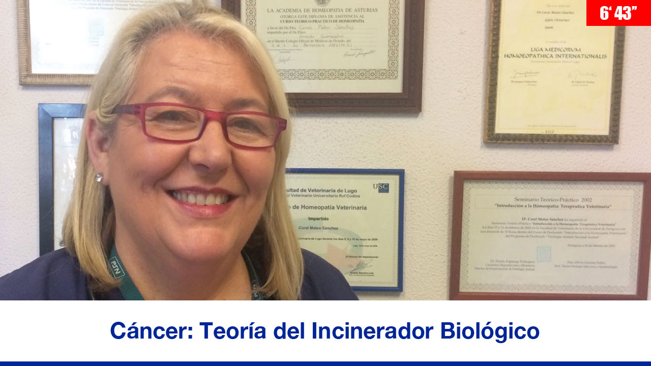 Cáncer: teoría del Incinerador Biológico