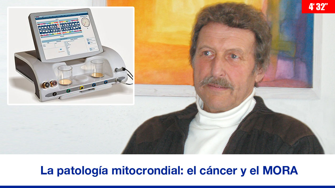 La patología mitocondrial: el cáncer y el MORA