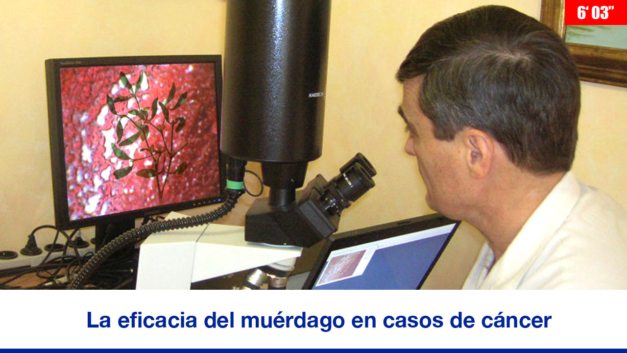 La eficacia del muérdago en casos de cáncer